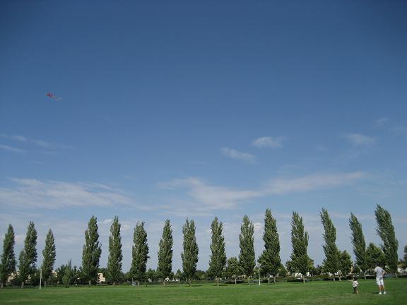 c0119197_537828.jpg