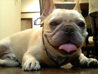 c0023399_2010846.jpg