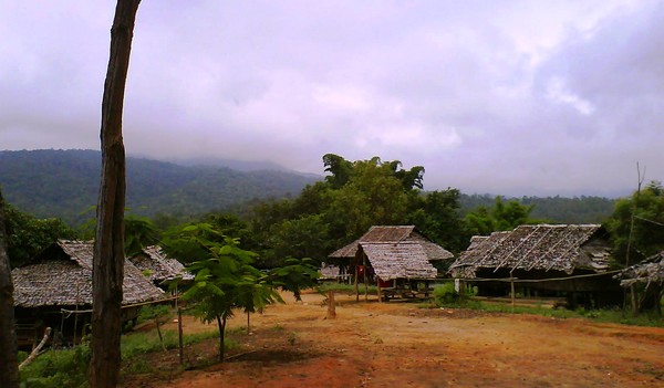 e0007801_1318848.jpg