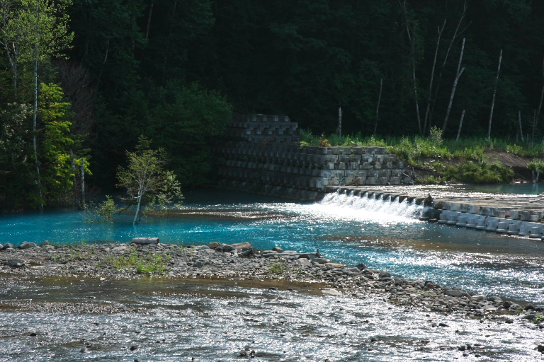 f0002701_6252317.jpg