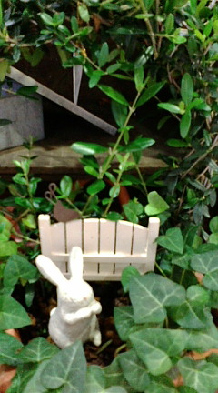 c0152002_2293369.jpg