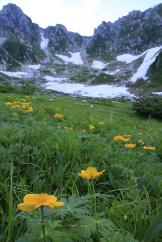 c0130306_859448.jpg