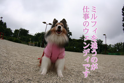 e0072606_21183992.jpg