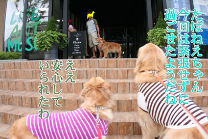 e0072606_21311718.jpg