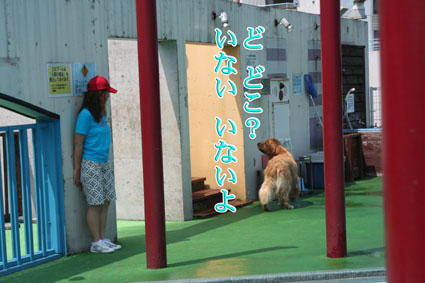 e0072606_2183047.jpg