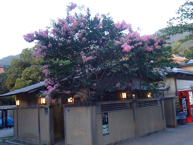 f0173908_15424619.jpg