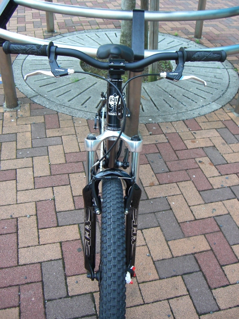 c0100318_158332.jpg