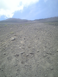 c0162719_1648725.jpg