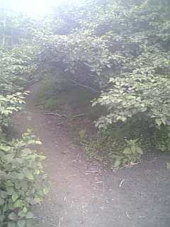 c0162719_1710233.jpg