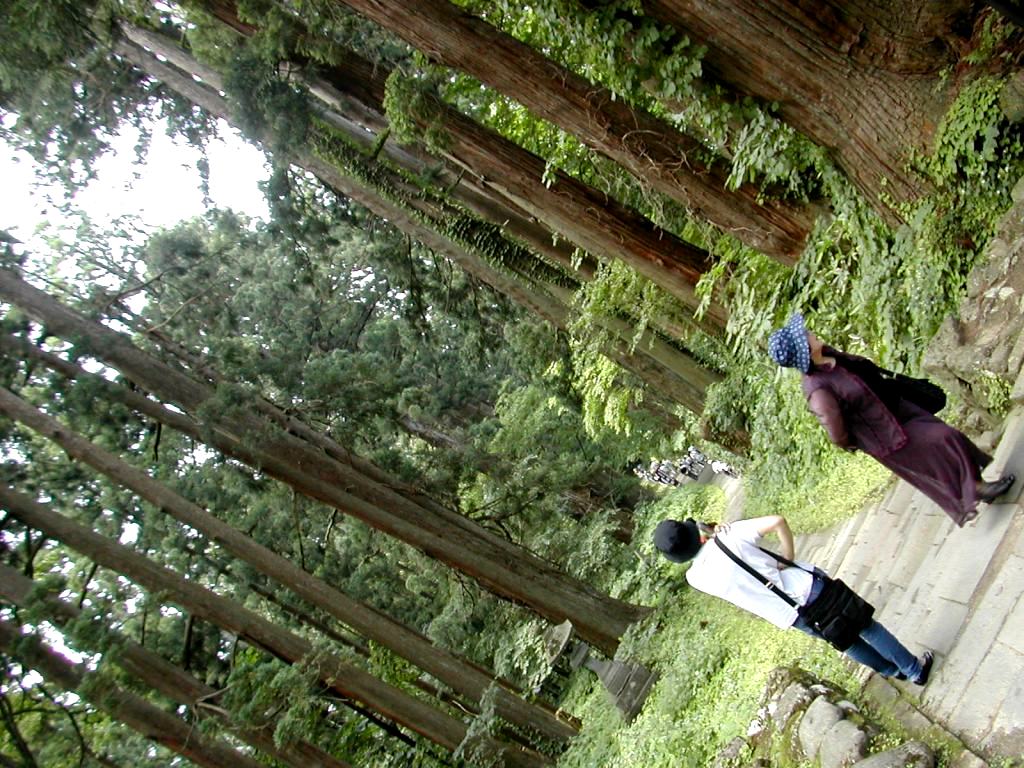a0102824_21564263.jpg