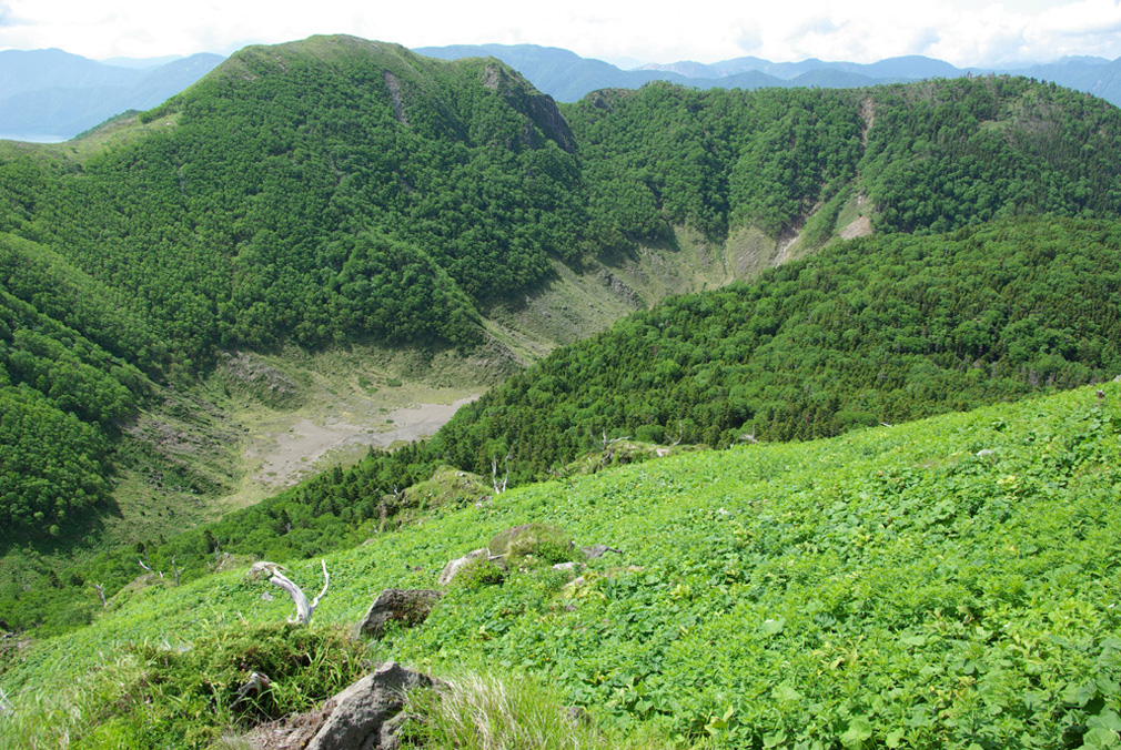 b0062024_2285375.jpg