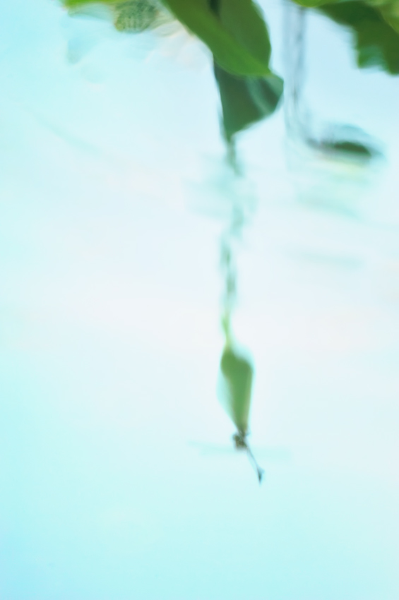 c0126428_23201541.jpg
