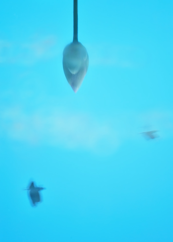 c0126428_23202516.jpg