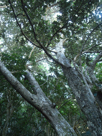 f0175934_22175655.jpg
