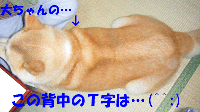 f0008935_14515869.gif