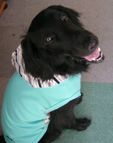 c0048736_13262760.jpg
