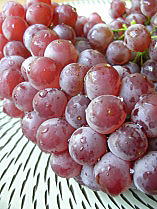 e0016836_1013047.jpg