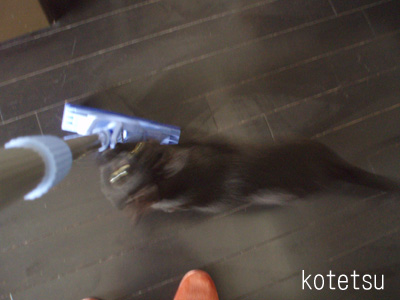 c0132438_2222561.jpg