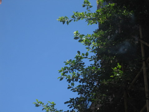 e0018143_1193430.jpg