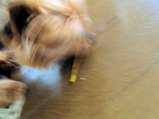 c0033145_23591463.jpg