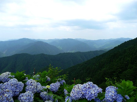 c0057946_19294590.jpg