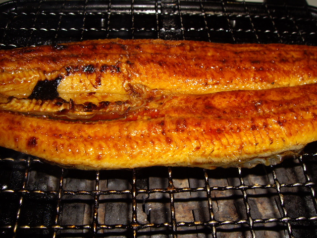 e0098547_23392377.jpg