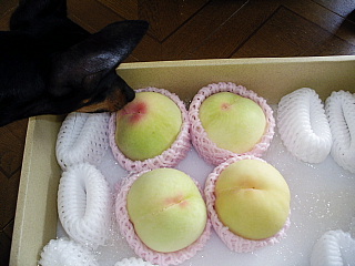 c0123149_22235396.jpg
