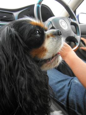 c0145250_12541568.jpg