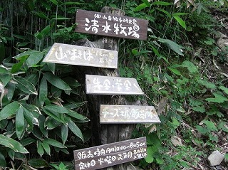 f0009451_51706.jpg