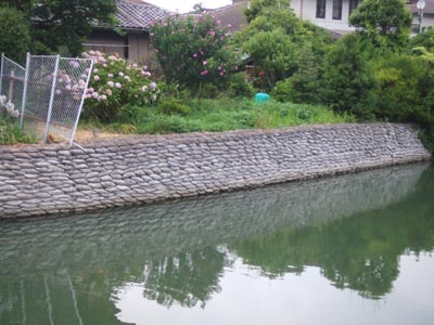 d0150659_13163479.jpg