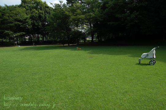 c0149160_1062470.jpg