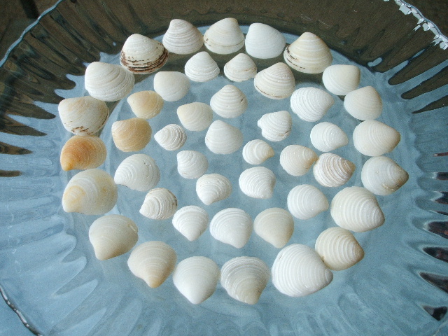 d0107660_1713315.jpg