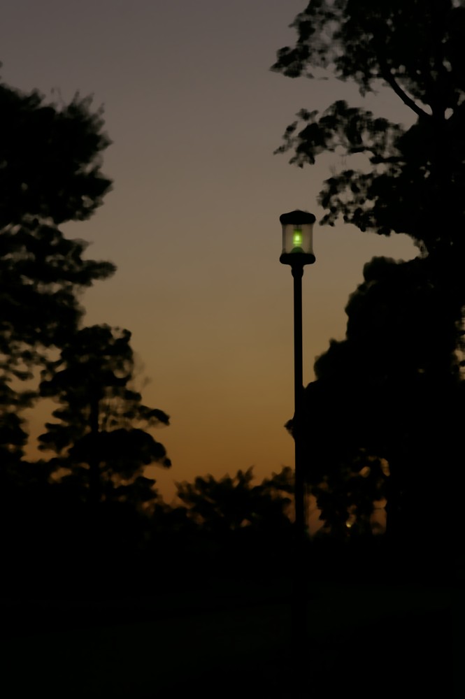 f0179061_11441561.jpg