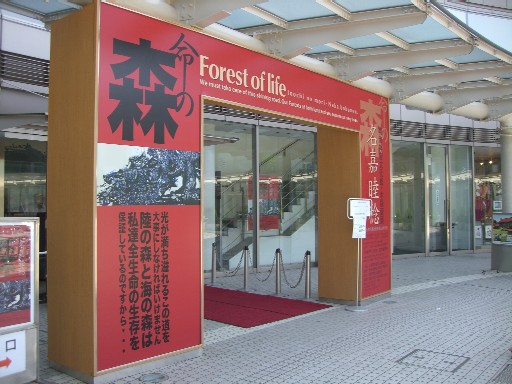 f0110663_13512789.jpg
