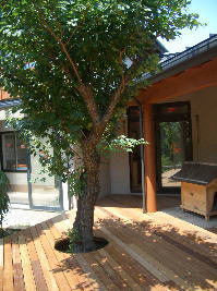 f0047576_19131517.jpg