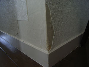 b0085080_20324929.jpg