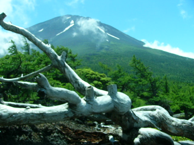 e0145782_20113739.jpg