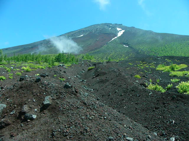 e0145782_201236.jpg