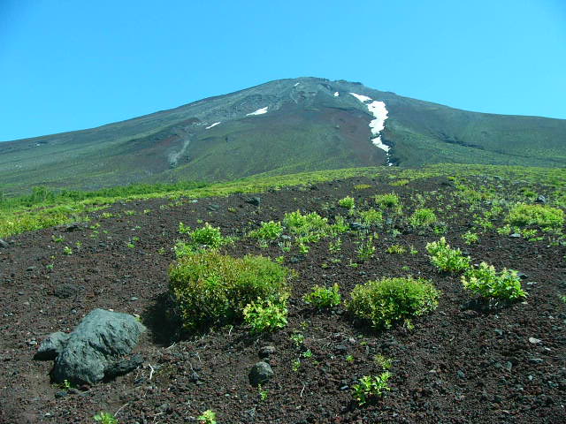 e0145782_20123892.jpg