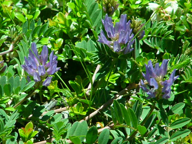e0145782_2091116.jpg