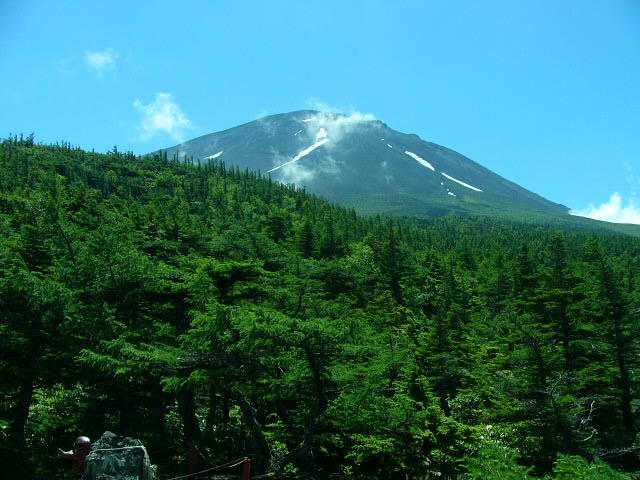 e0145782_2093979.jpg