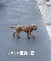 f0032683_11354933.gif