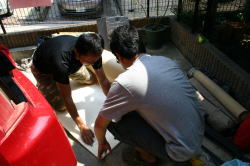 f0045283_1552655.jpg