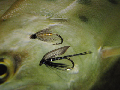 c0146788_1061678.jpg