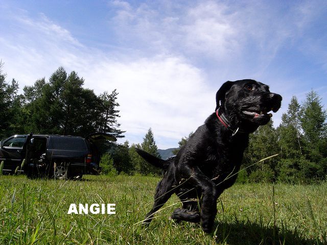 a0093592_1544369.jpg