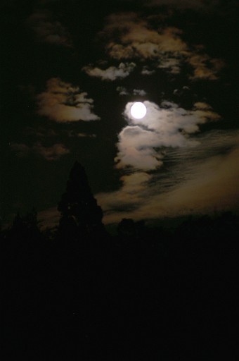 f0064192_7384672.jpg