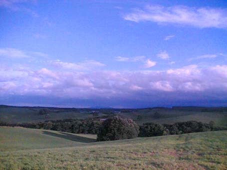 c0004193_21552419.jpg