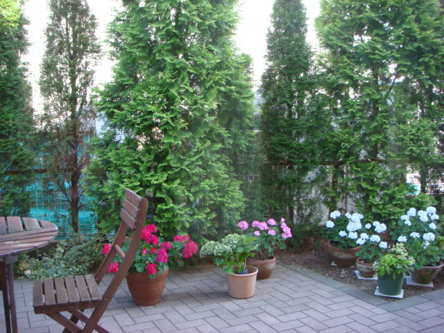 f0137694_1523512.jpg