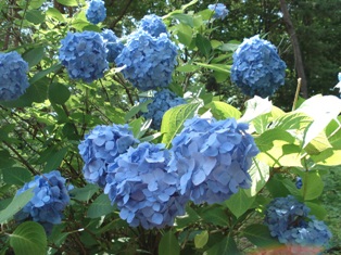 c0099395_9382433.jpg