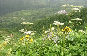 e0122199_14412063.jpg